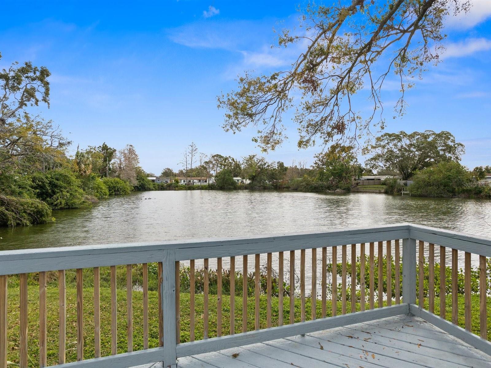 Image 39 of 62 For 8501 47th Street N
