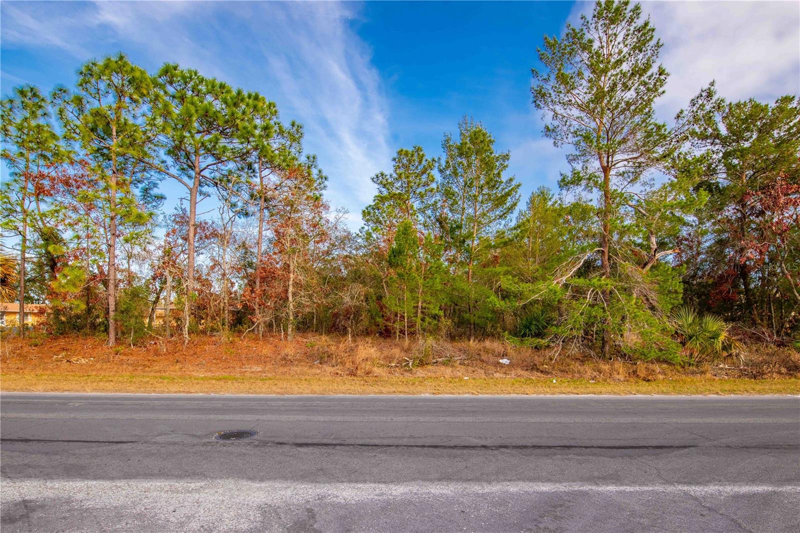 Image 11 of 12 For Lamson Avenue