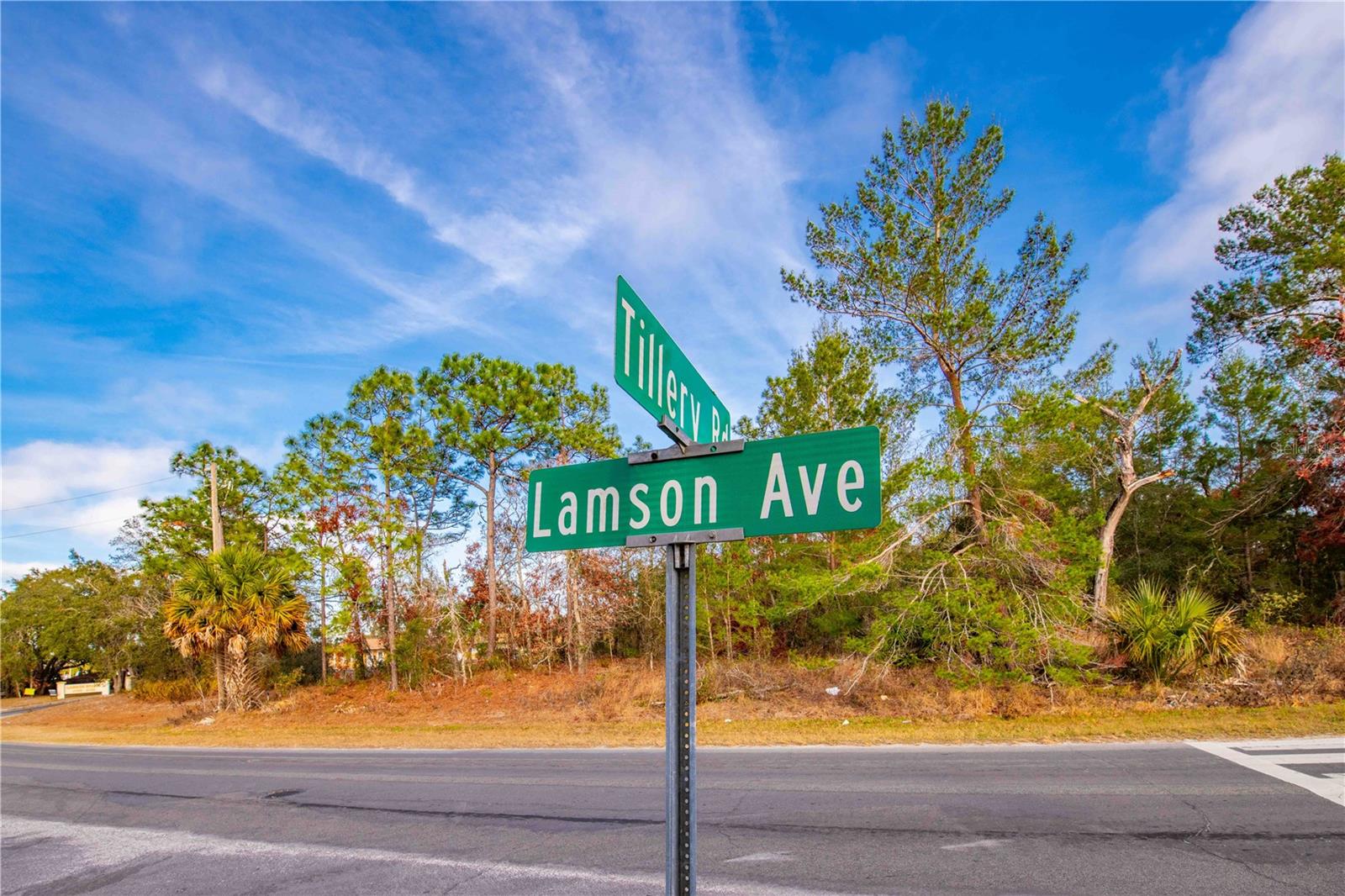 Image 4 of 12 For Lamson Avenue