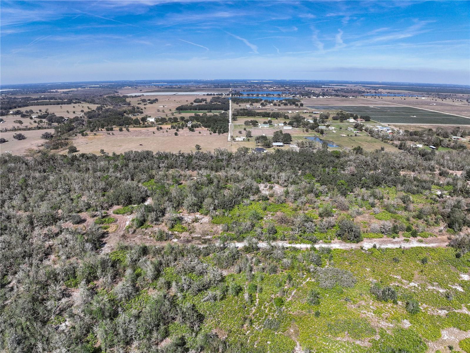 Image 3 of 4 For Lot 483 N-a  