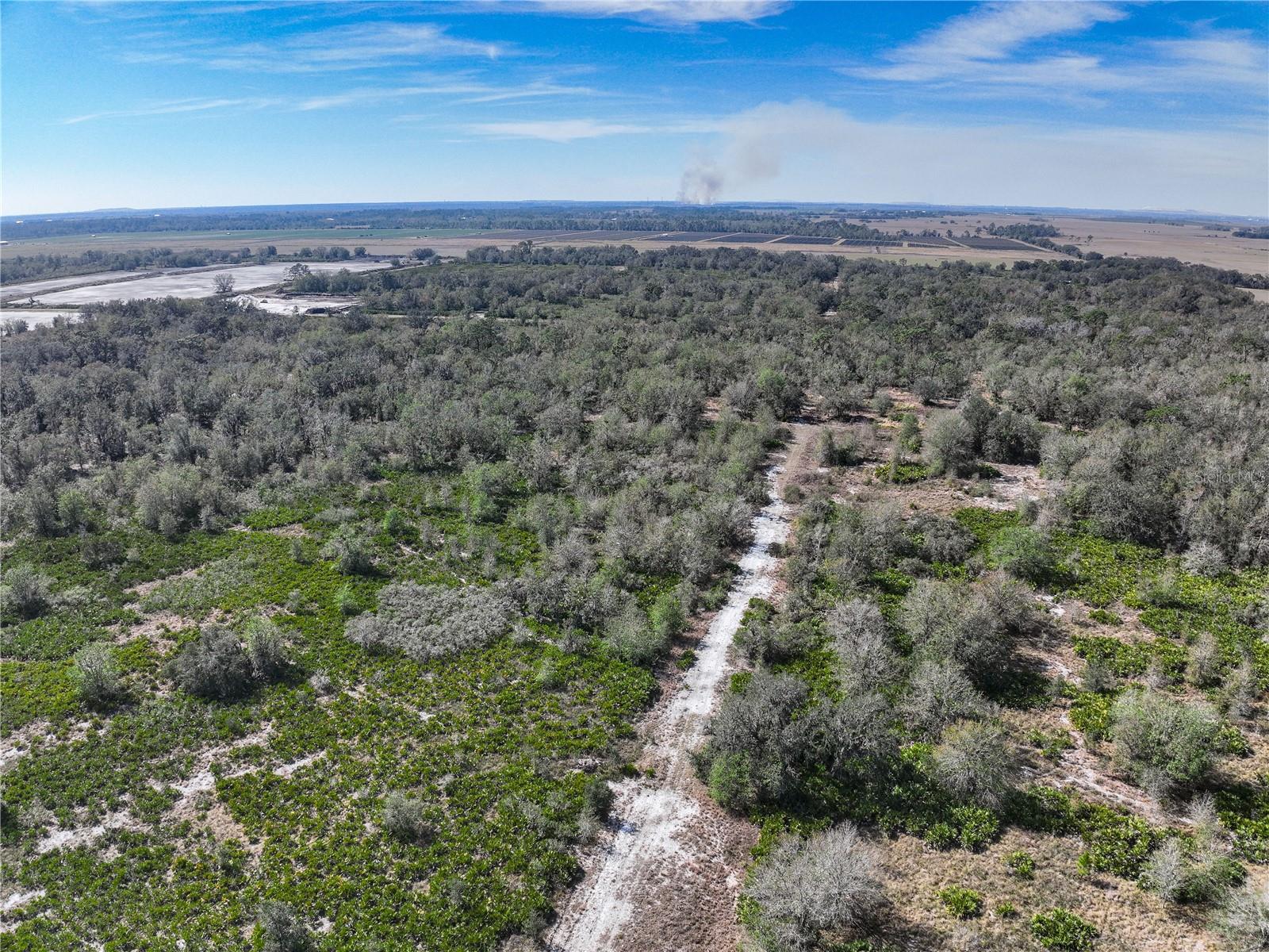 Image 4 of 4 For Lot 483 N-a  