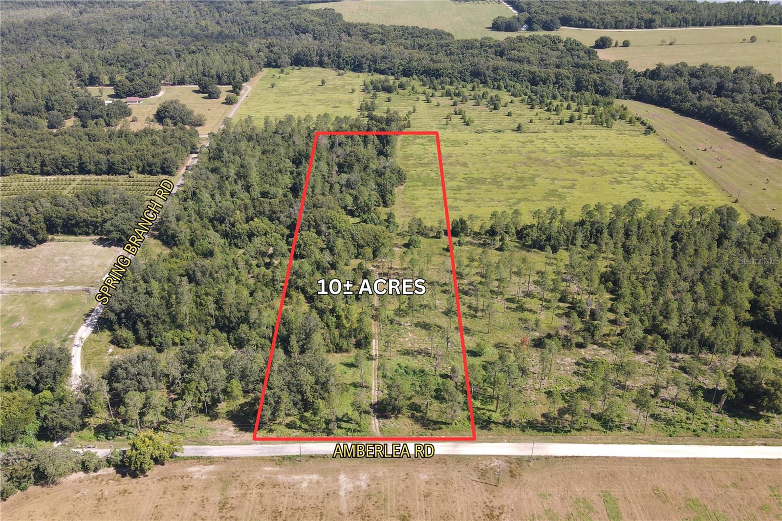 Details for Amberlea Road, DADE CITY, FL 33523