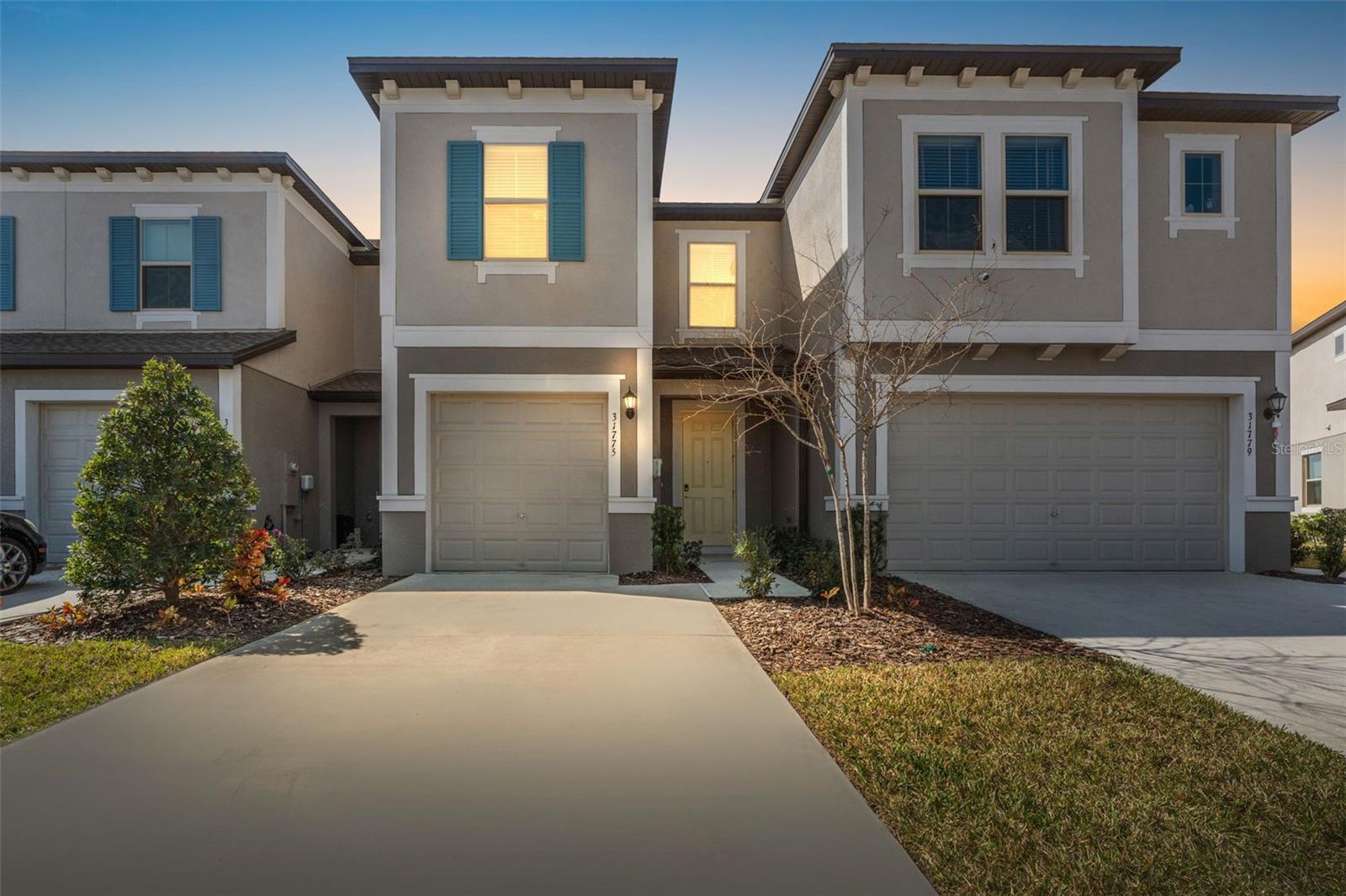 Details for 31775 Blue Passing Loop, WESLEY CHAPEL, FL 33545