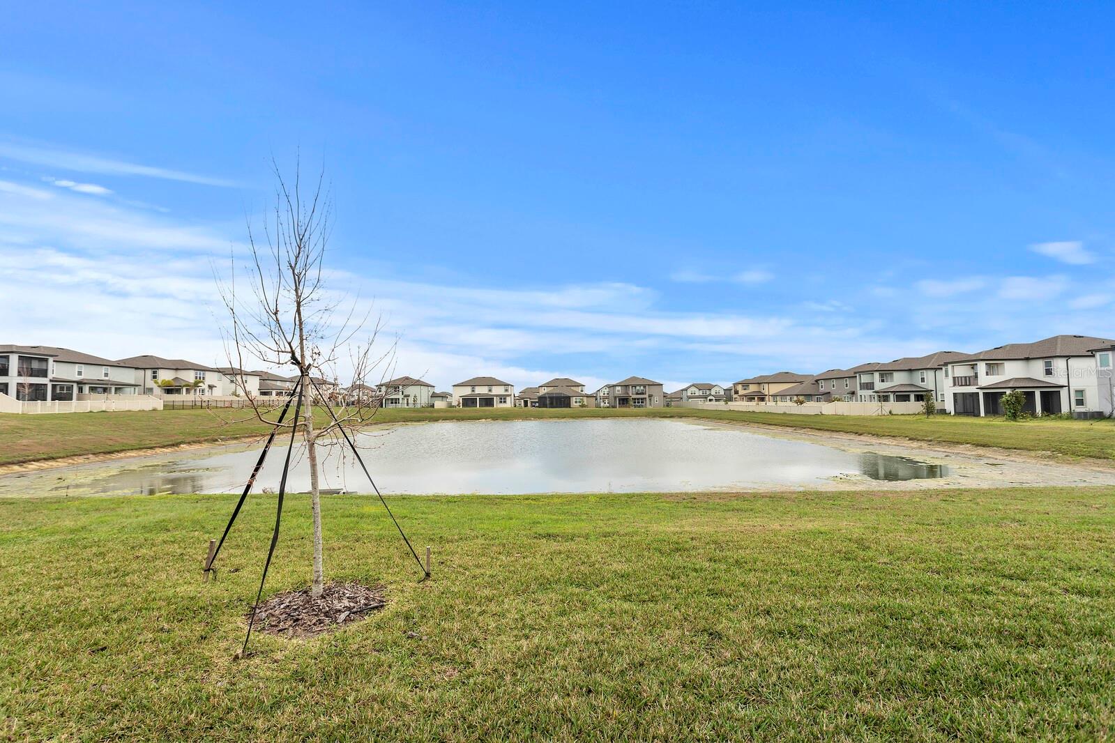 Listing photo id 47 for 32346 Sapna Chime Drive