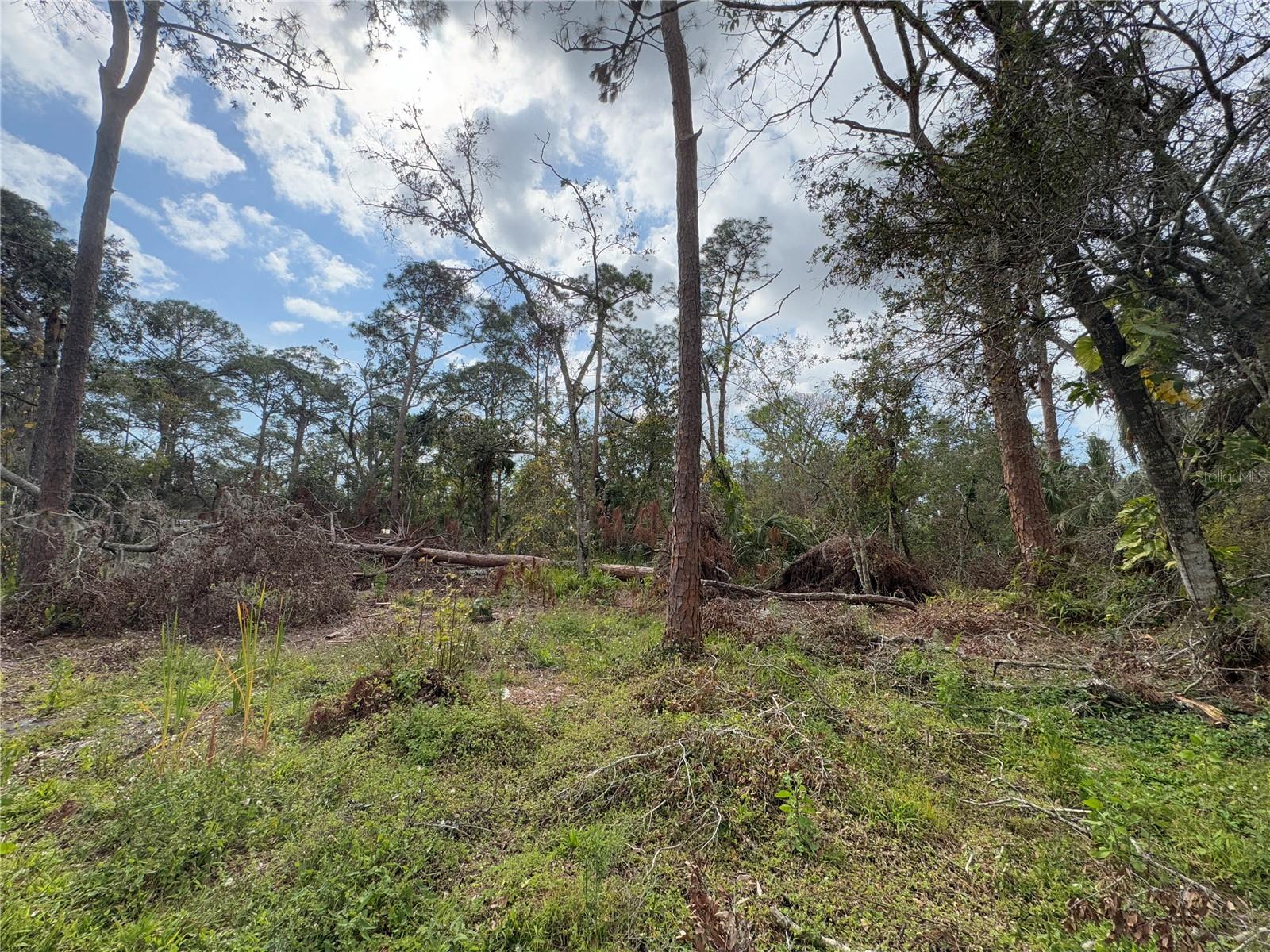 Image 88 of 90 For 3112 Desoto Road