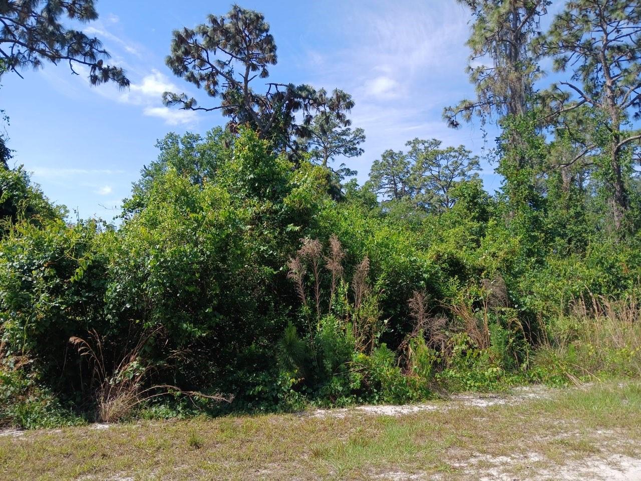 Image 2 of 7 For 2810 Ixora Drive