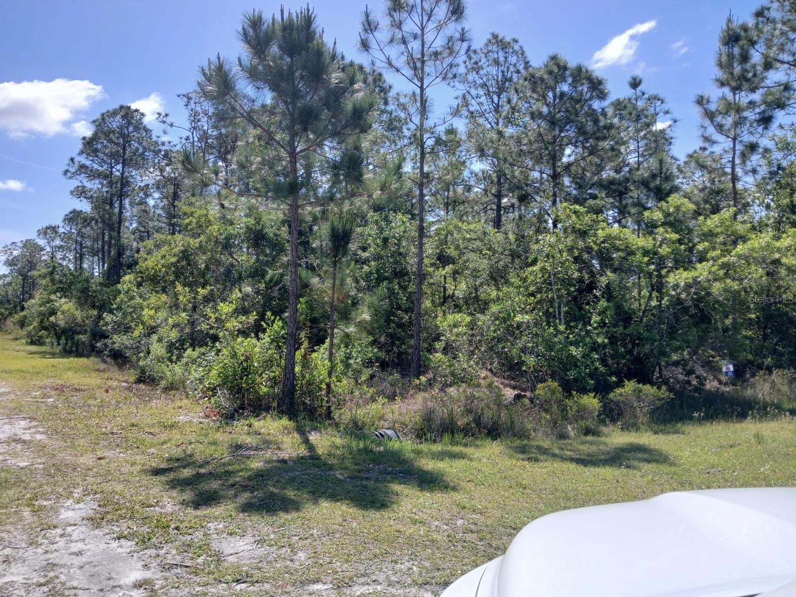 Image 5 of 7 For 2810 Ixora Drive