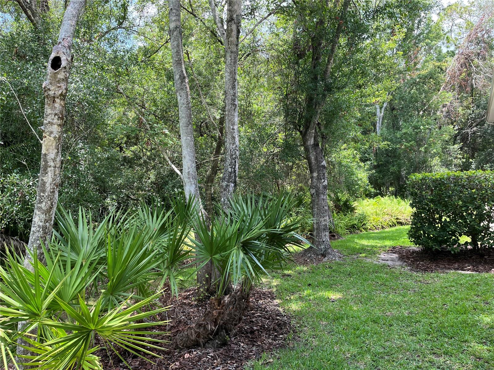 Image 10 of 30 For 4224 Preserve Place