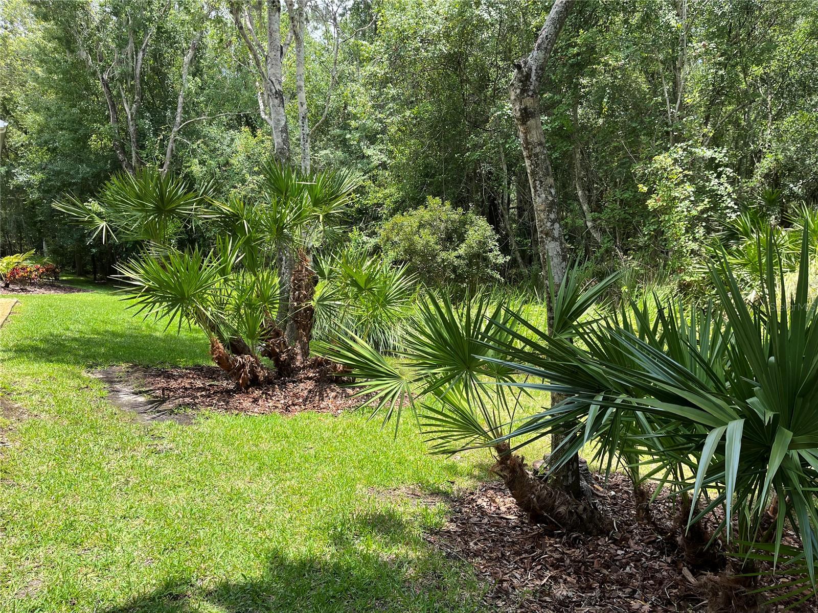 Image 11 of 30 For 4224 Preserve Place