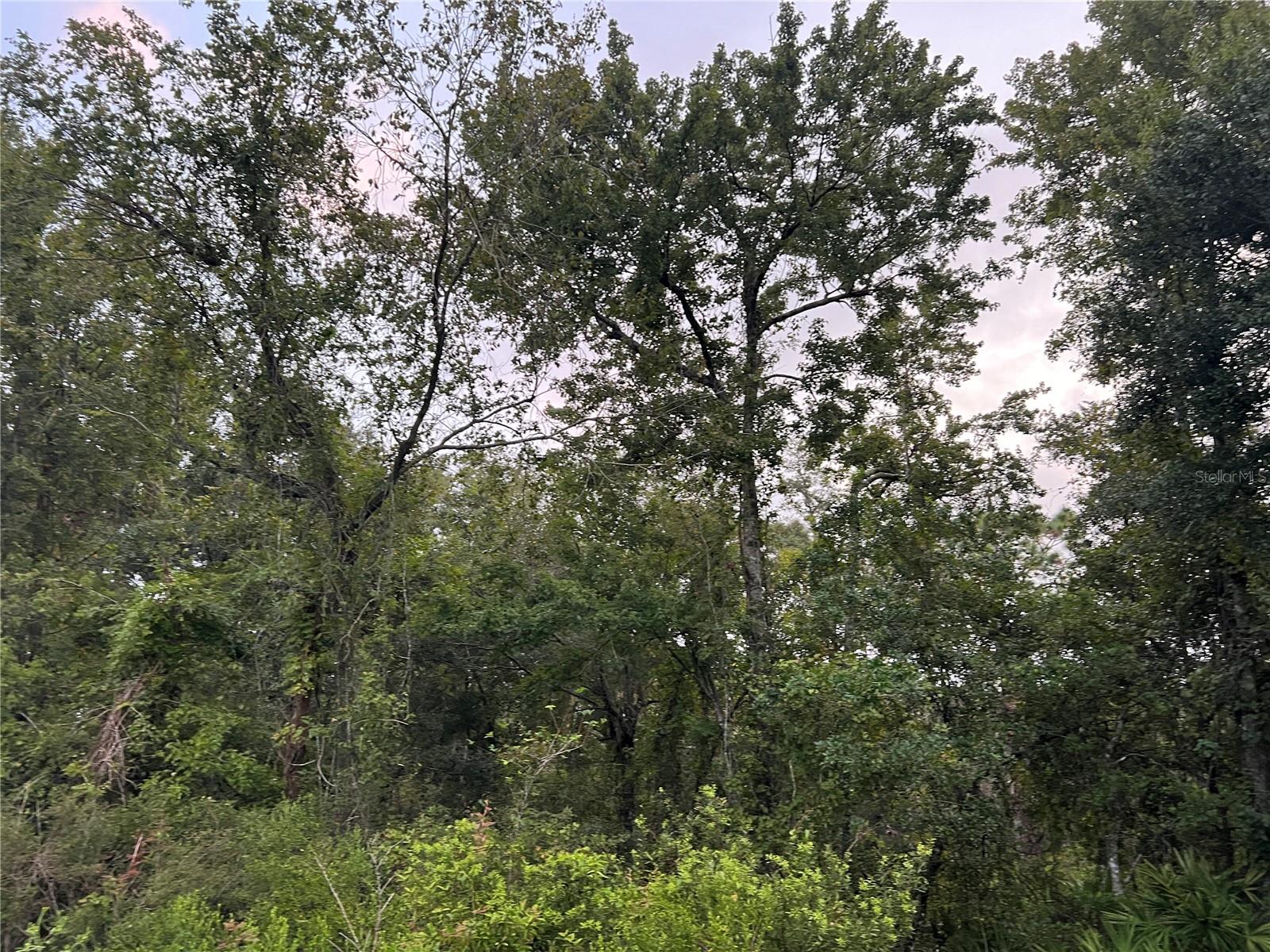 Image 13 of 21 For Tbd Gilbert Street