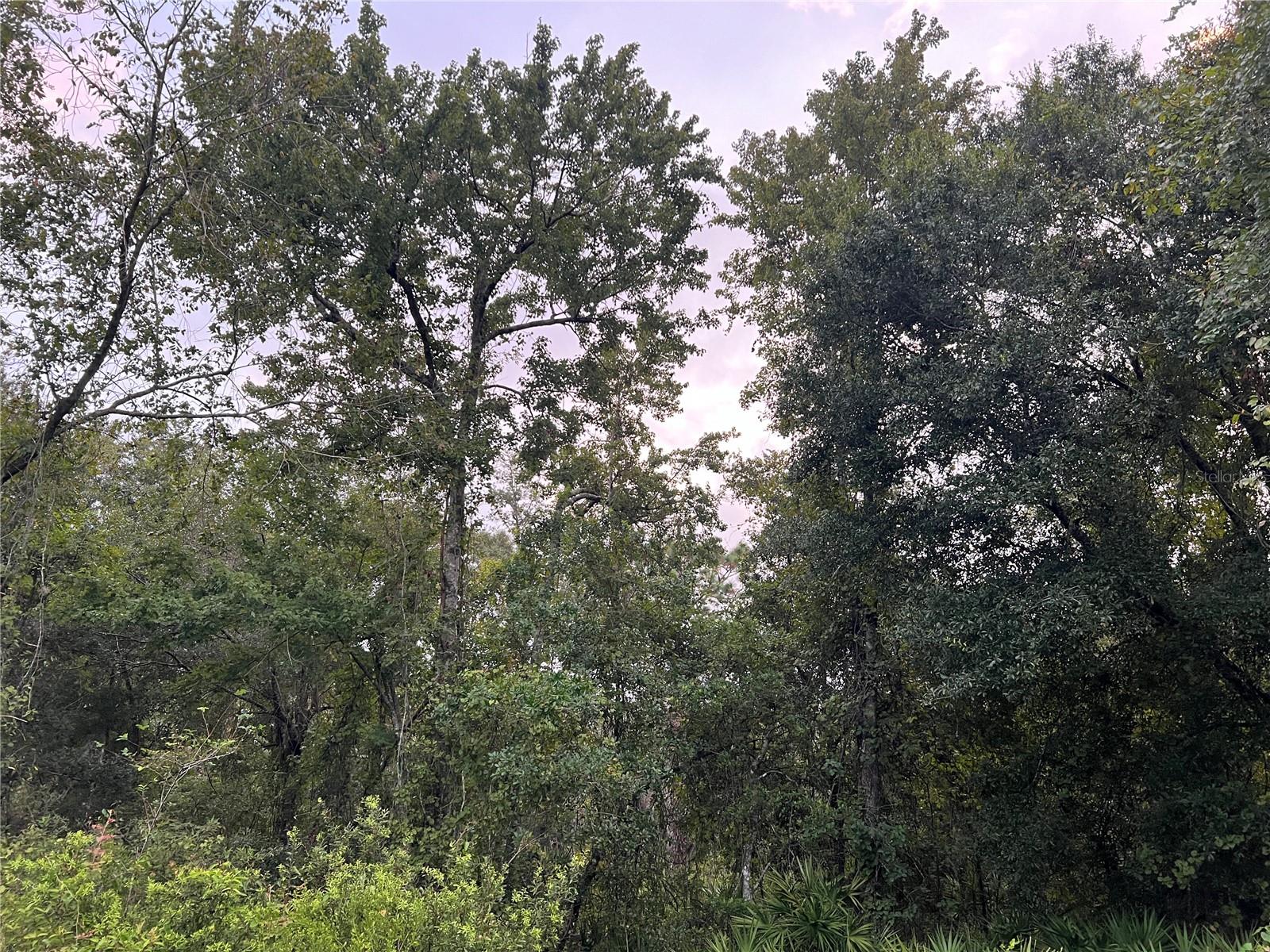 Image 14 of 21 For Tbd Gilbert Street