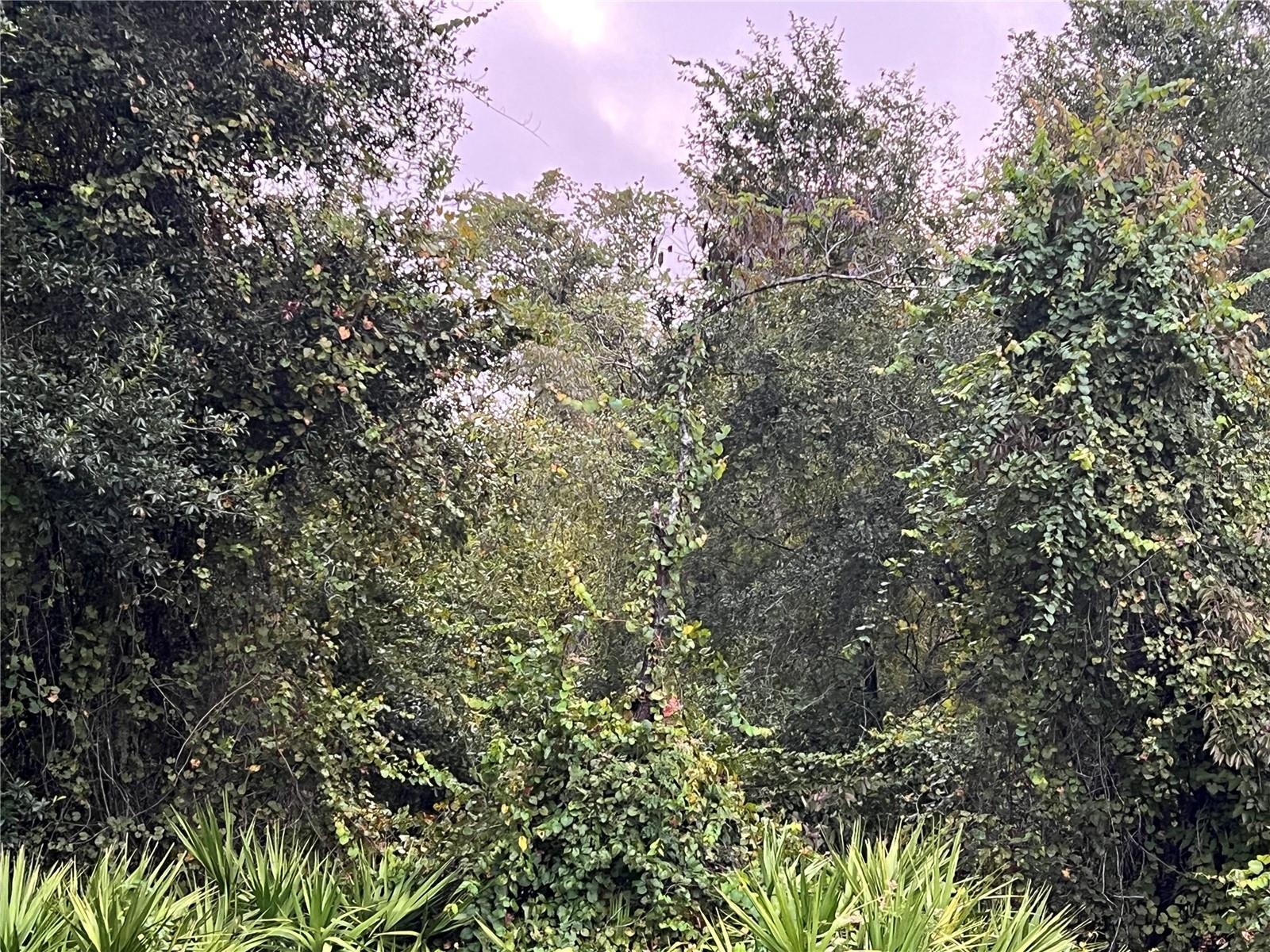 Image 16 of 21 For Tbd Gilbert Street