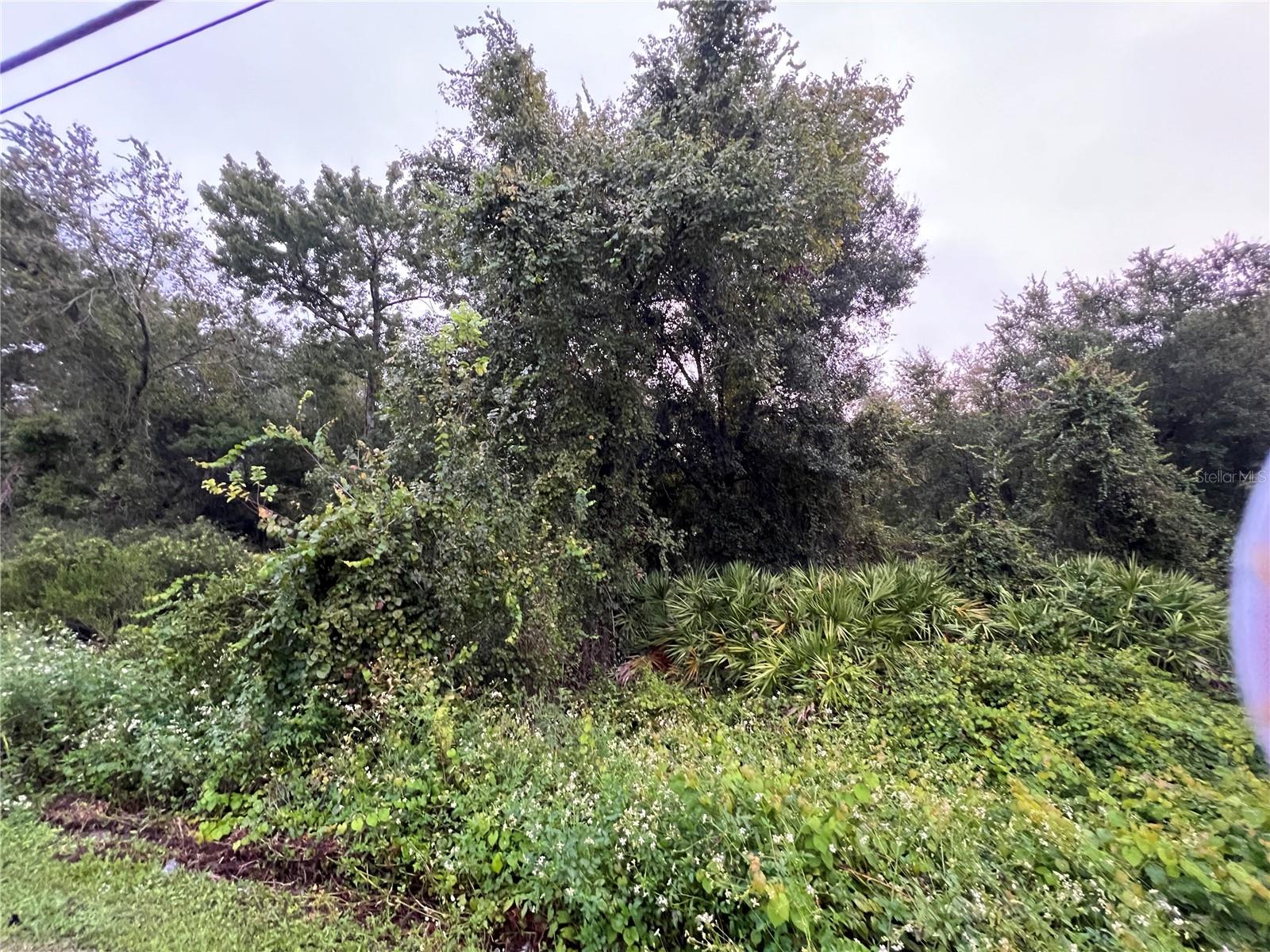 Image 17 of 21 For Tbd Gilbert Street