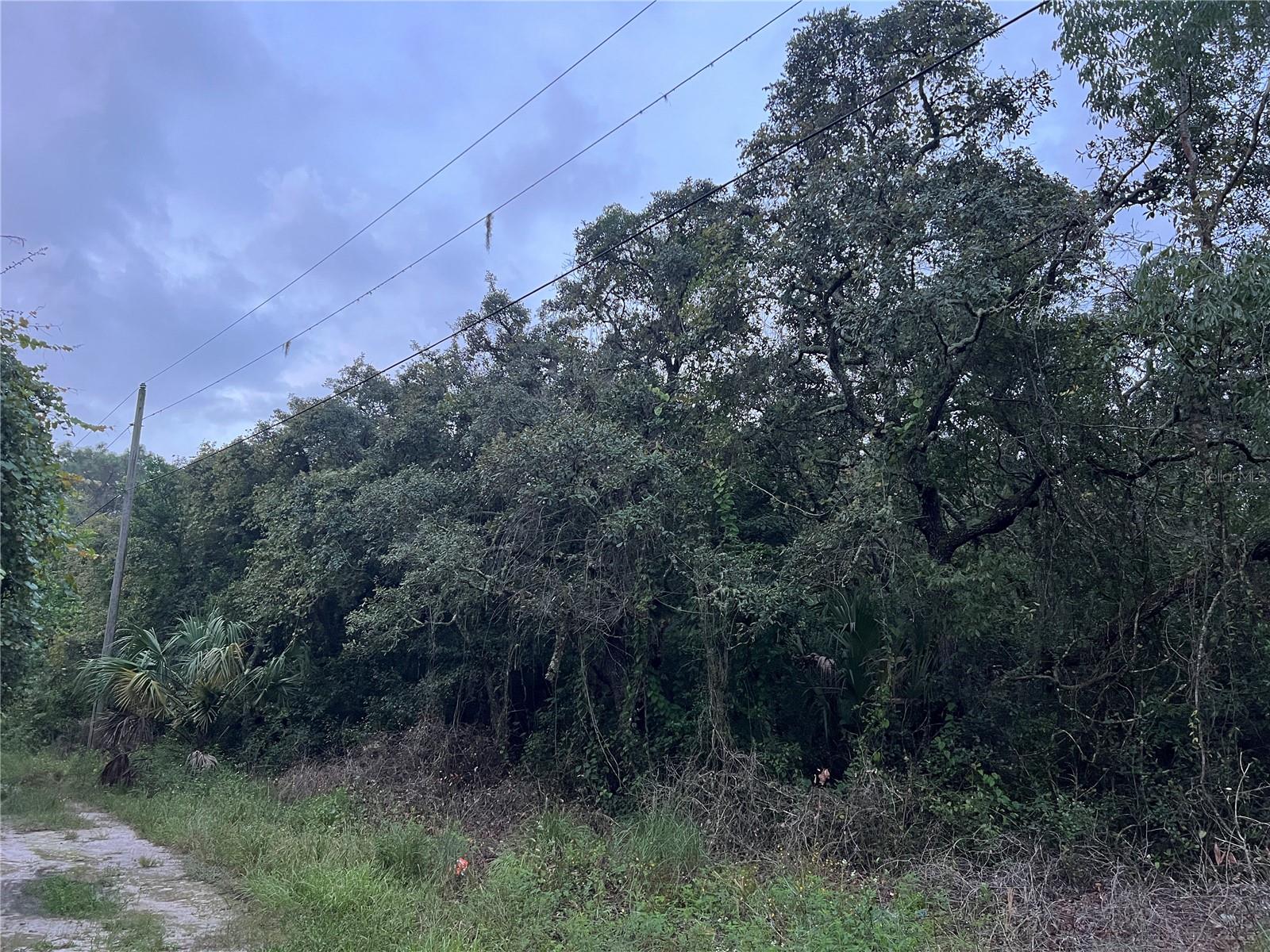 Image 19 of 21 For Tbd Gilbert Street