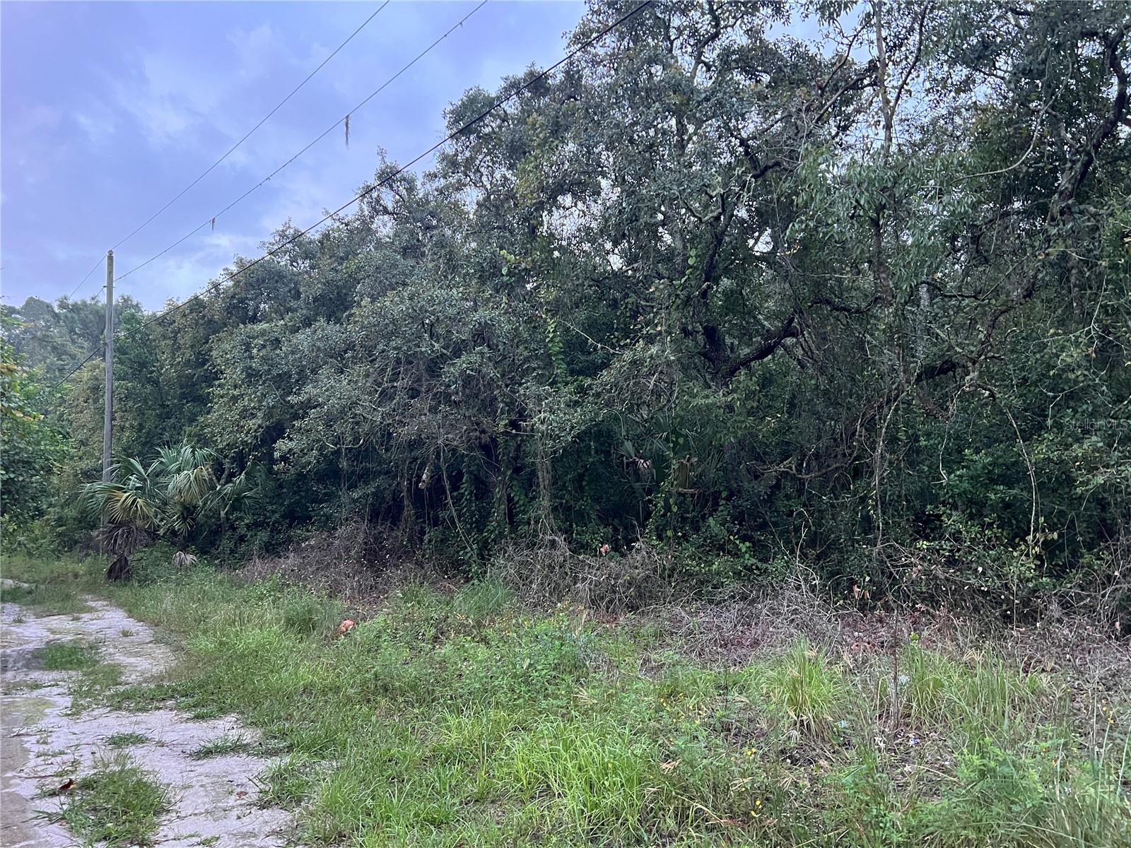 Image 20 of 21 For Tbd Gilbert Street