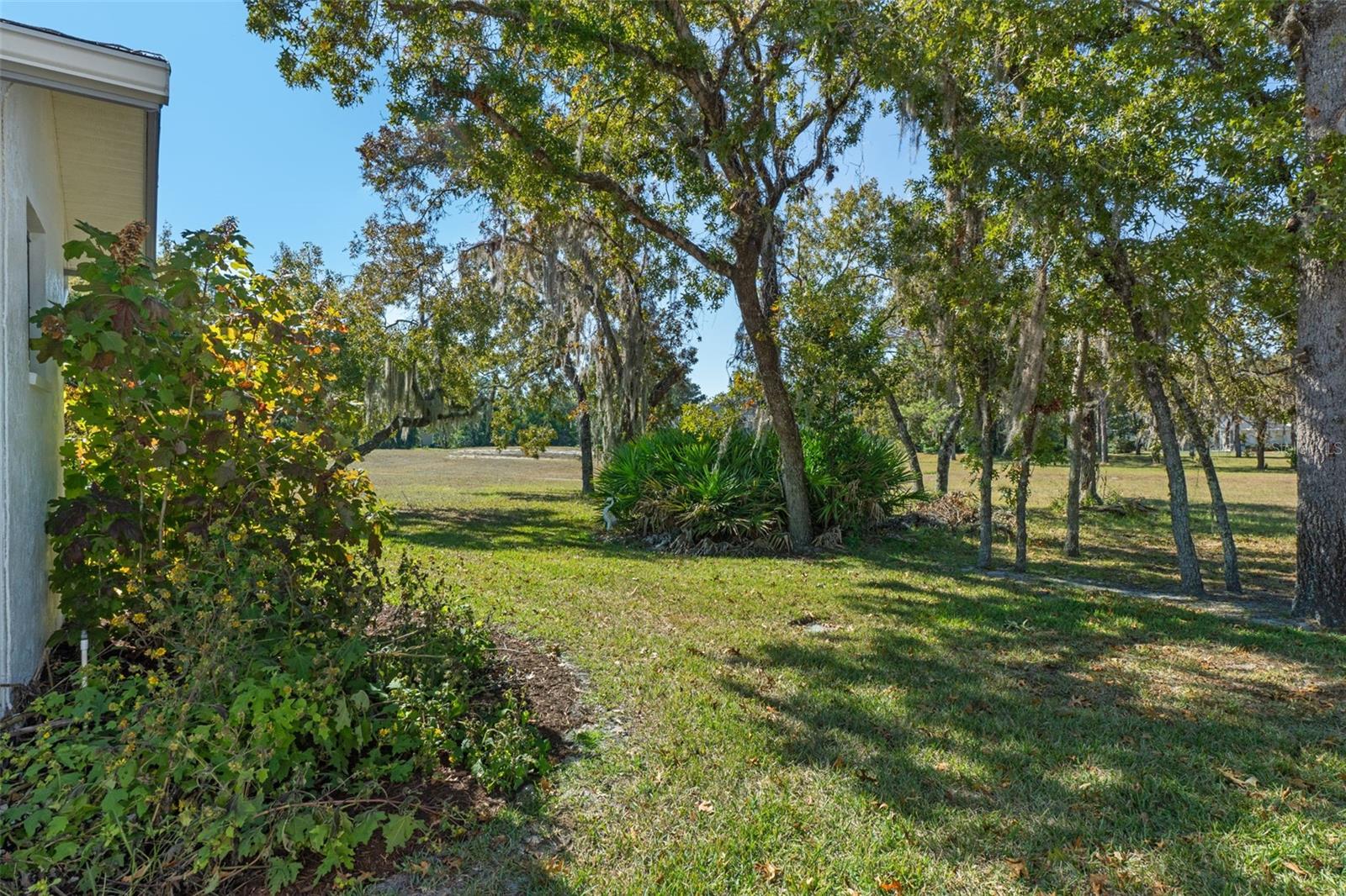 Image 40 of 62 For 46 Masters Drive