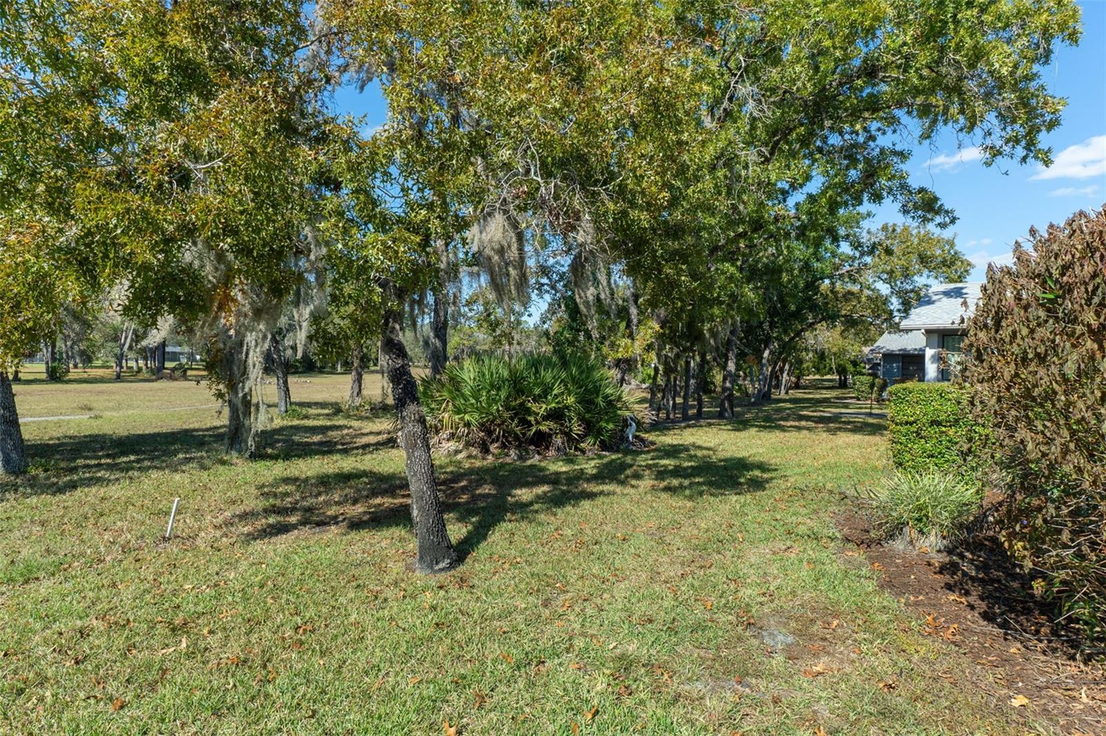 Image 41 of 62 For 46 Masters Drive