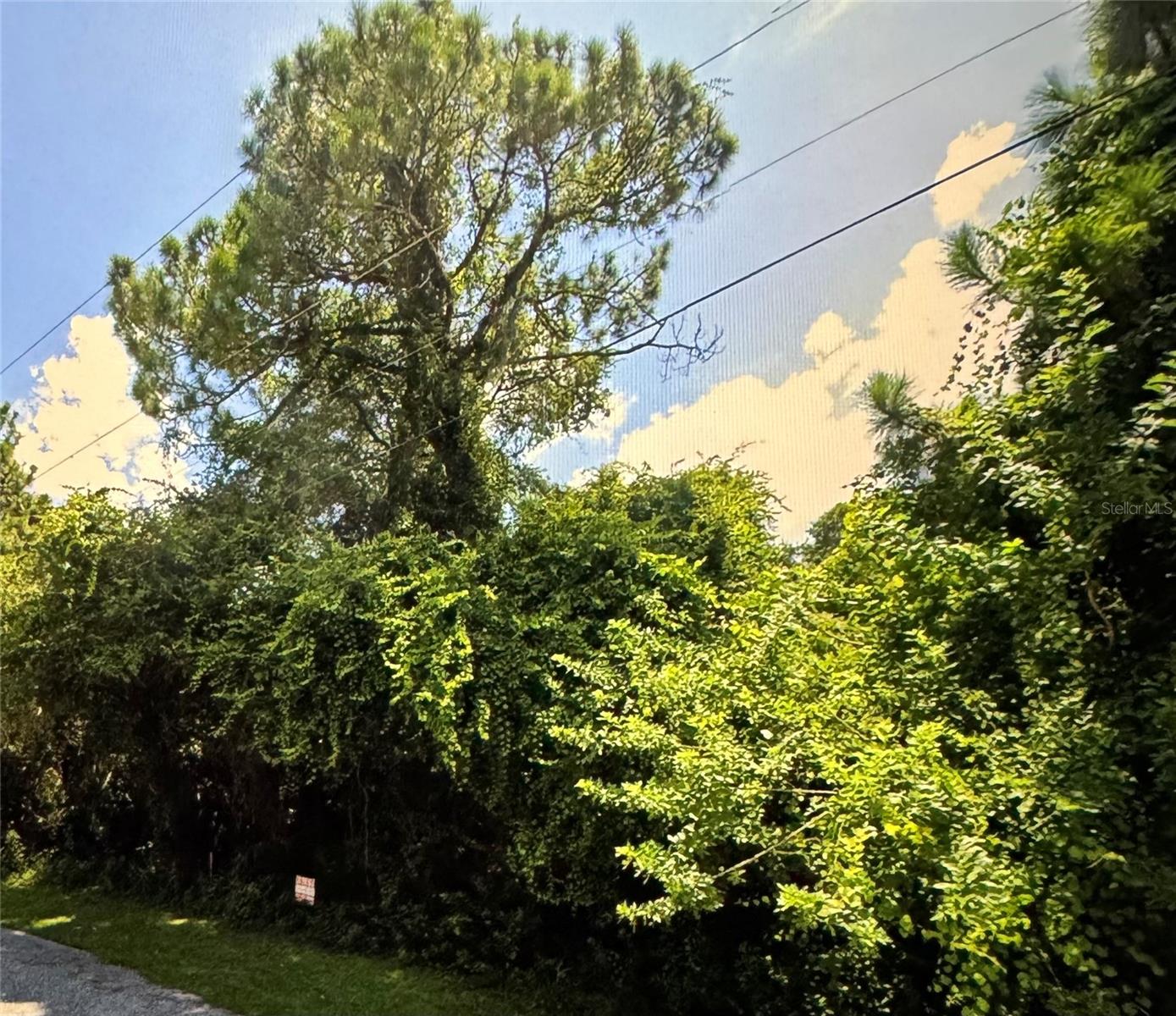 Image 2 of 3 For  Muncey Road 