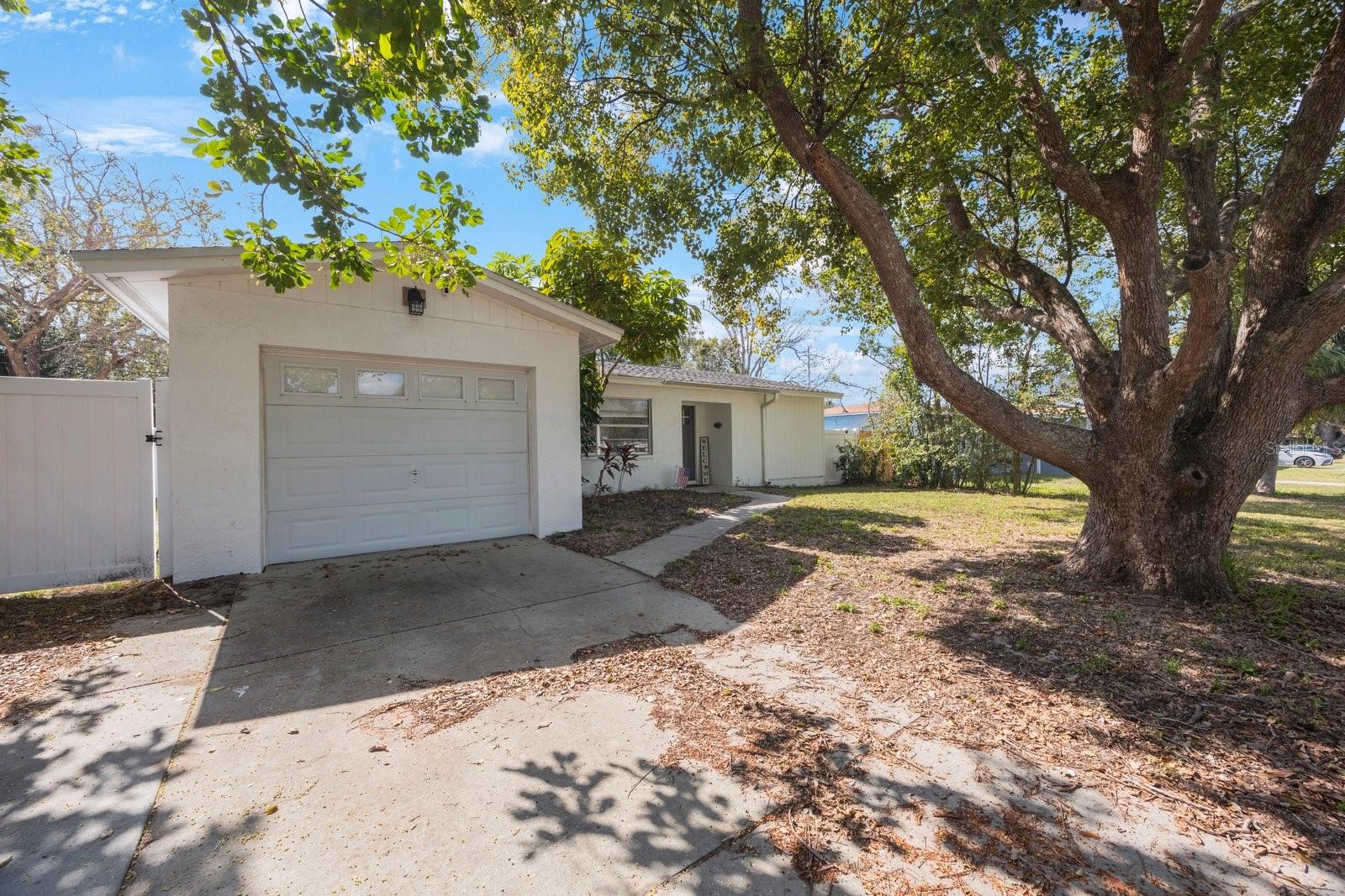 Listing photo id 31 for 1937 Palm Drive