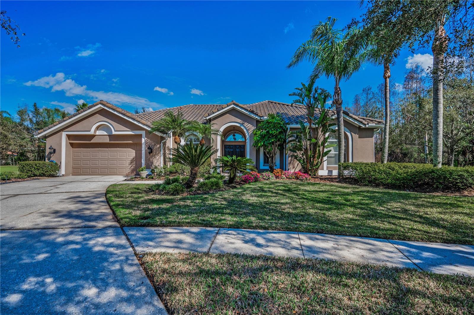 Details for 9101 Highland Ridge Way, TAMPA, FL 33647