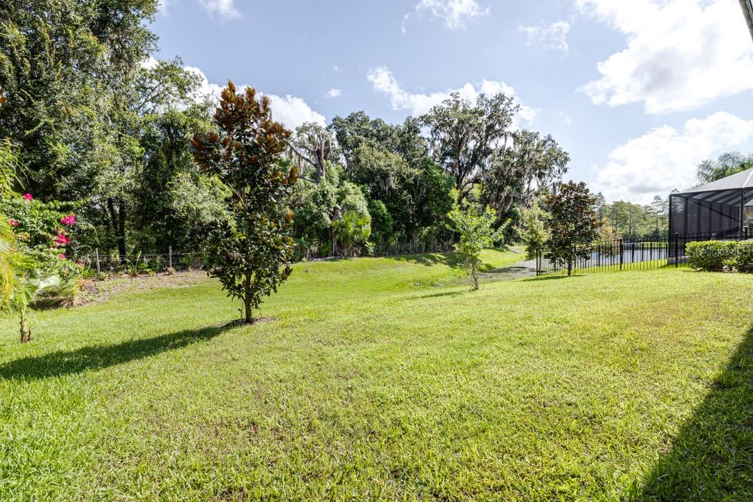 Listing photo id 48 for 21807 Amelia Rose Way