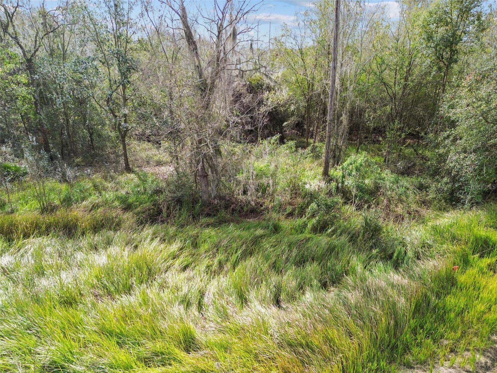 Image 8 of 18 For 7405 Dove Meadow Trail