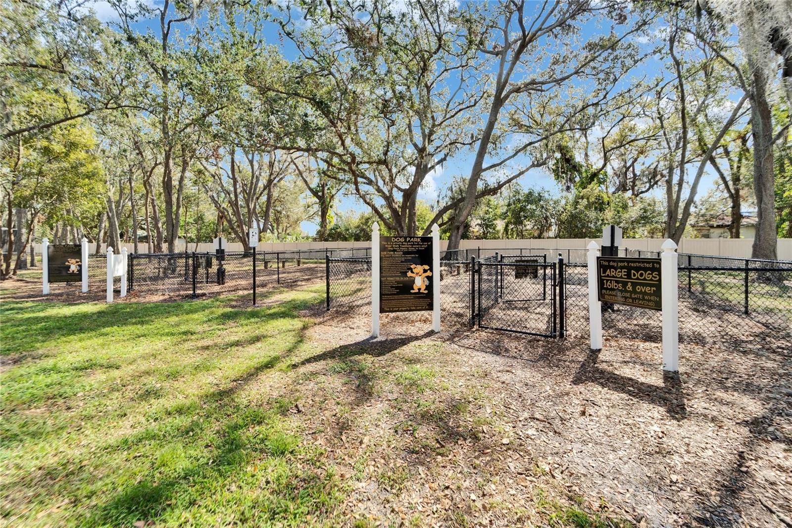 Image 66 of 67 For 10621 Shady Falls Court