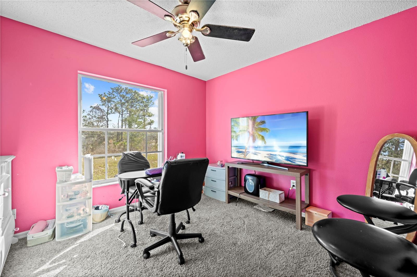 Listing photo id 32 for 11054 Liberto Road