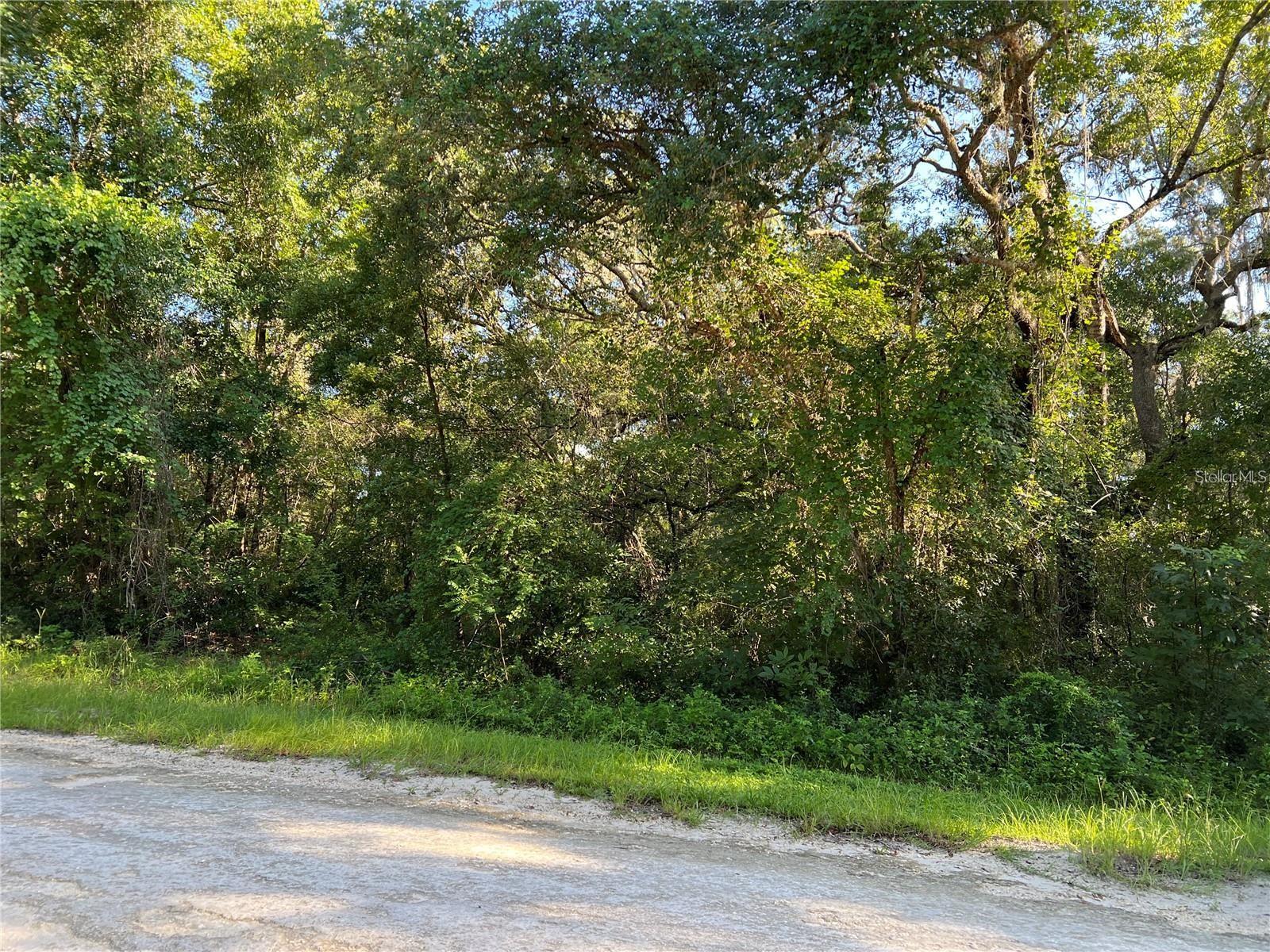 Details for 34085 Arrowrock Street, WEBSTER, FL 33597