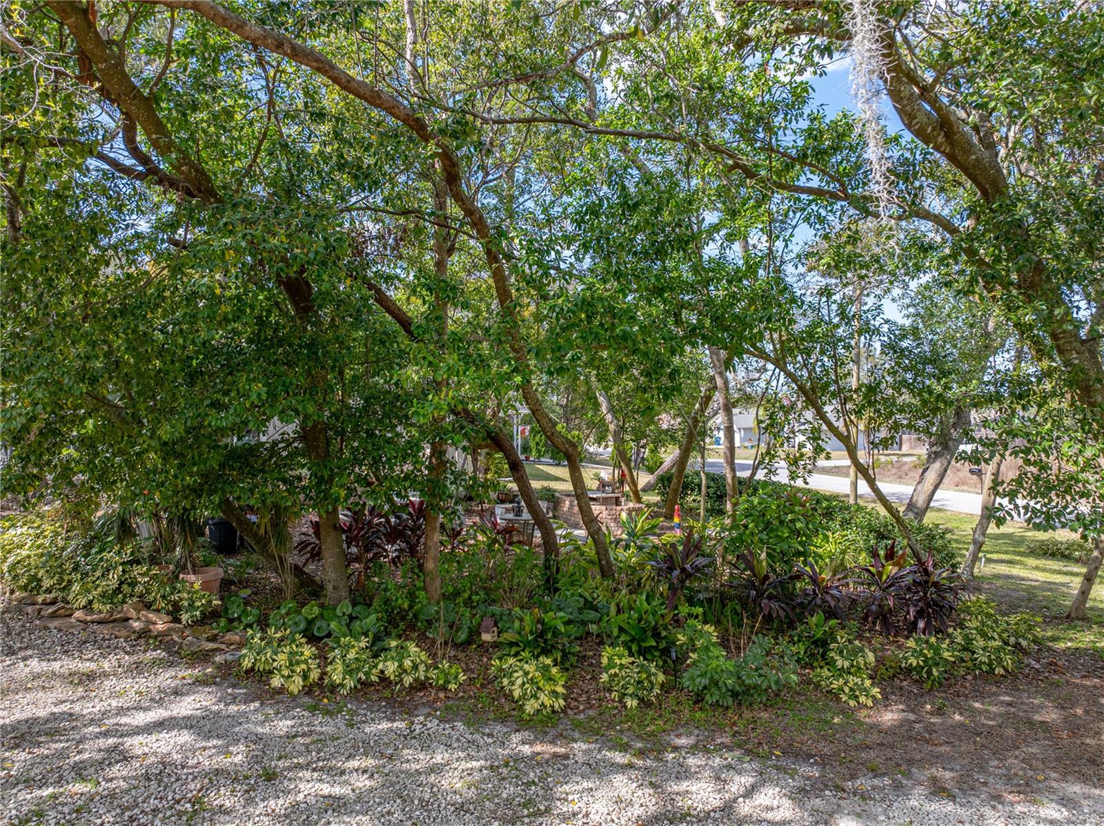 Listing photo id 45 for 8480 Colma Street