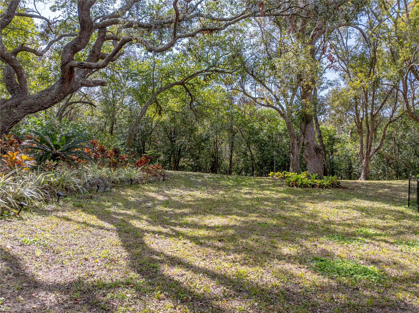 Listing photo id 52 for 8480 Colma Street