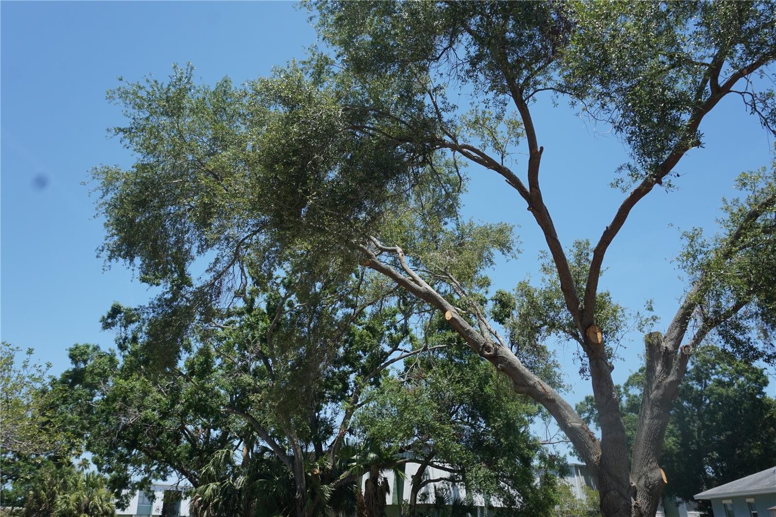 Image 13 of 23 For 0 74th Avenue N