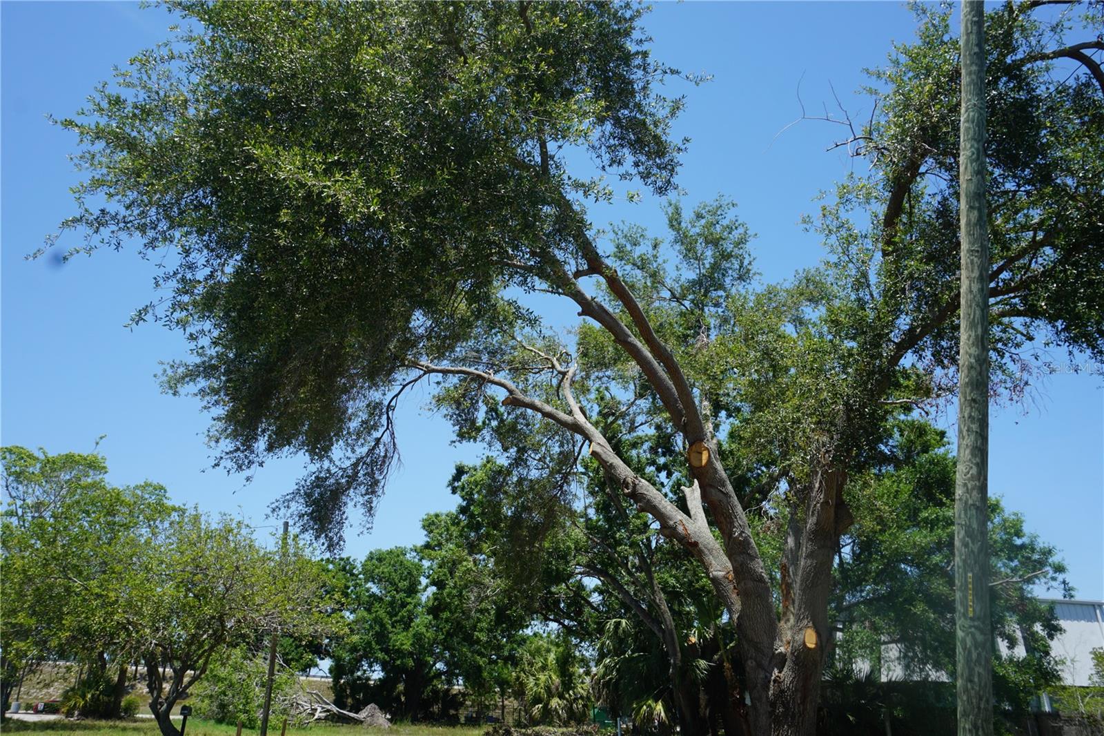 Image 16 of 23 For 0 74th Avenue N