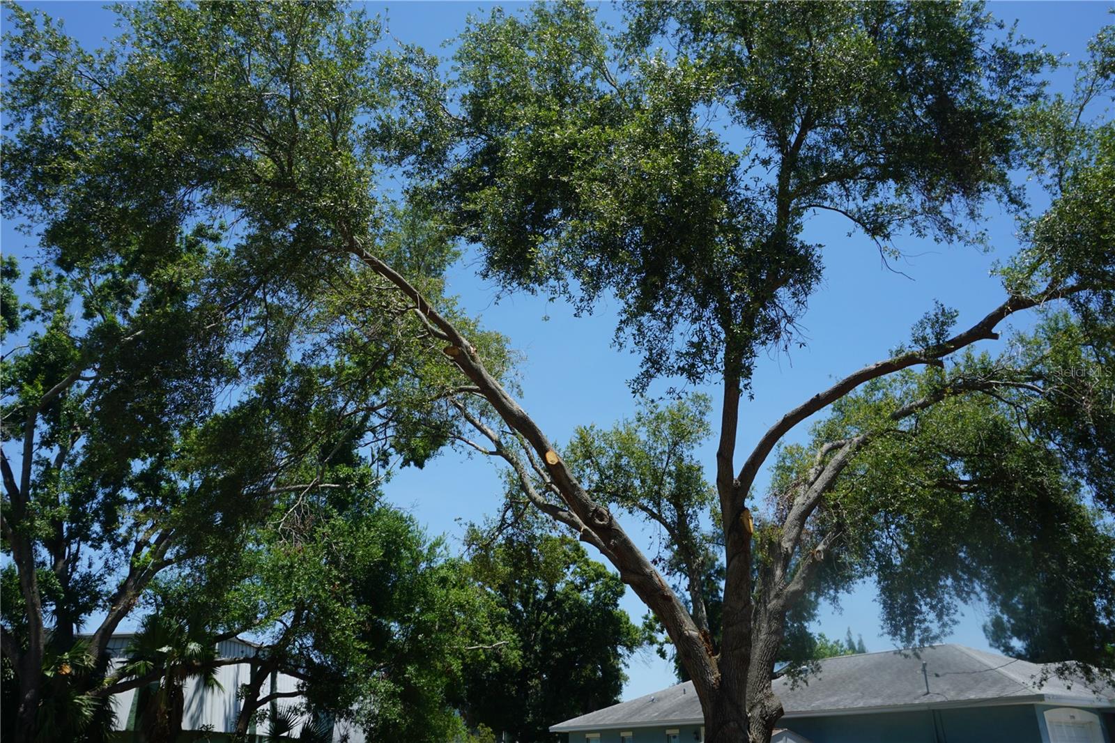 Image 7 of 23 For 0 74th Avenue N