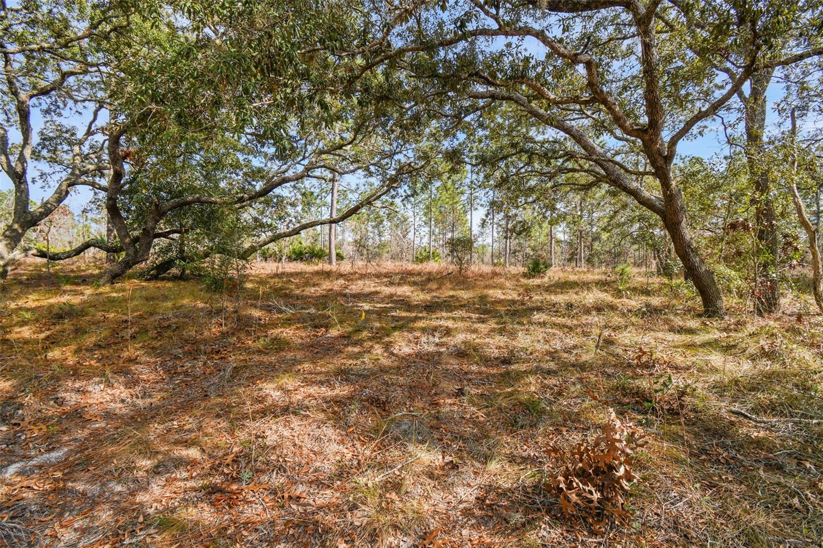 Details for  Seneca Road , WEEKI WACHEE, FL 34614