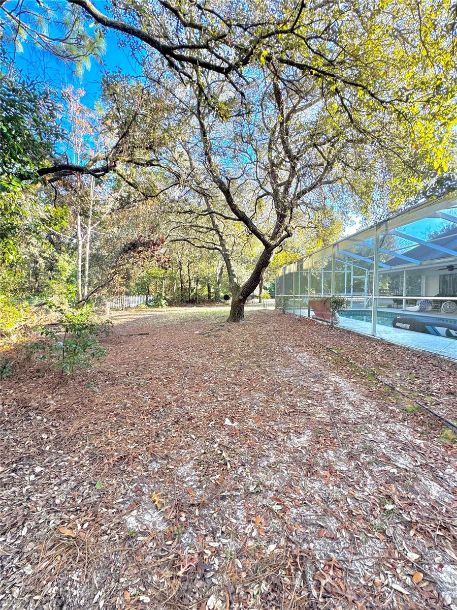 Image 61 of 79 For 4797 N Lena Dr