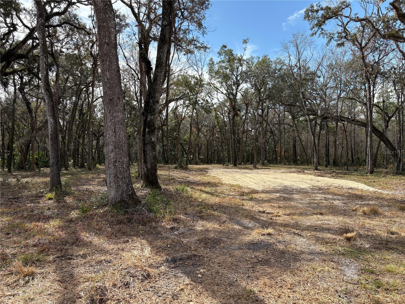 Listing photo id 8 for 0 Lake Lindsey Road