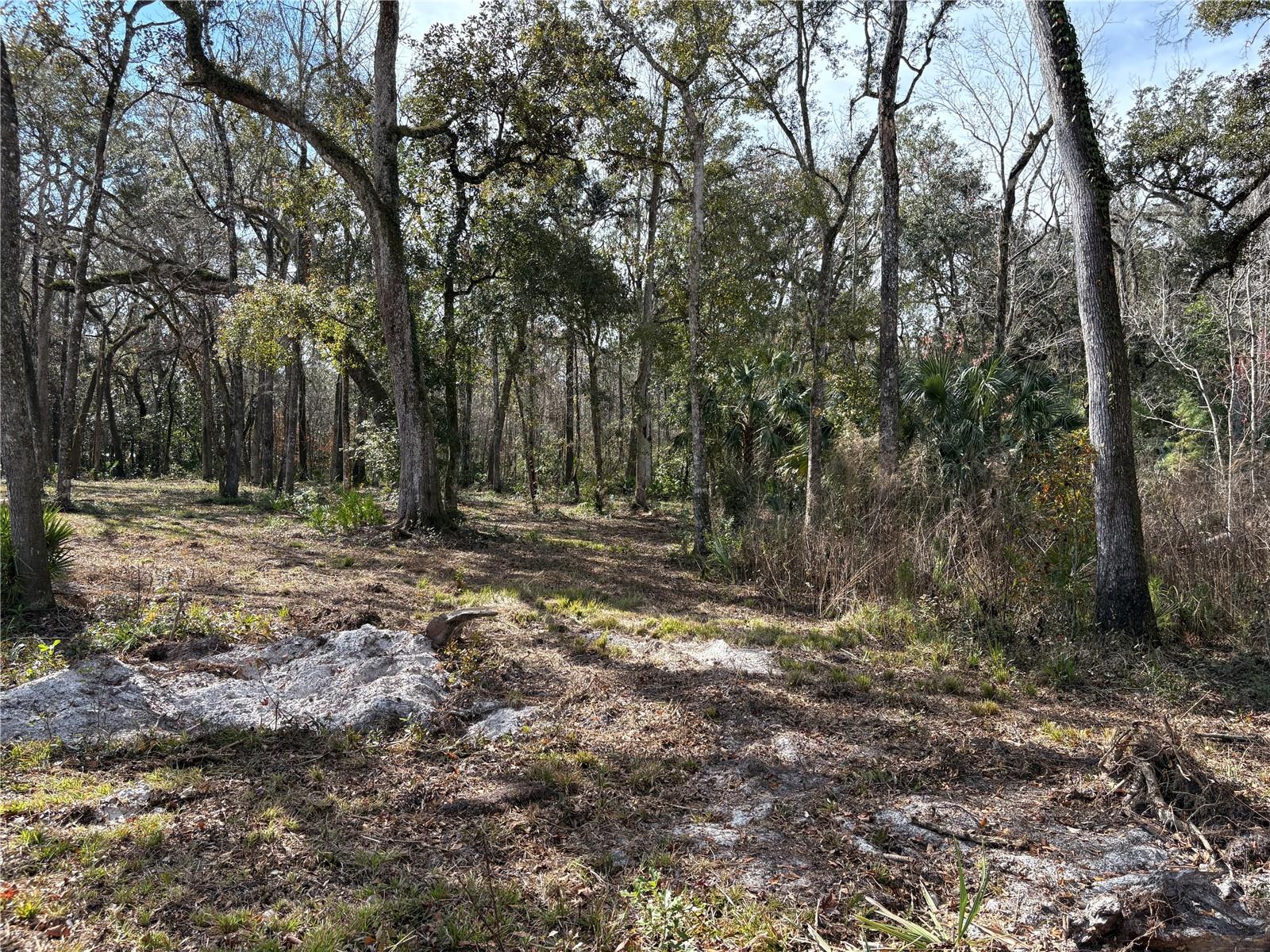 Image 4 of 16 For 0 Lake Lindsey Road