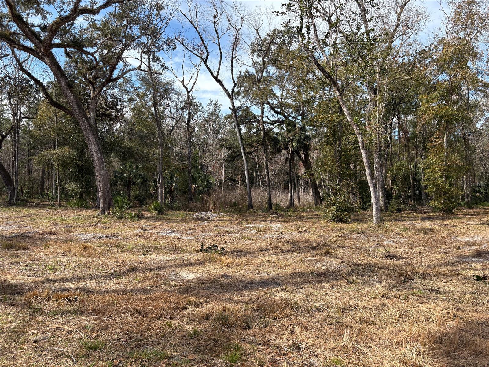 Image 8 of 16 For 0 Lake Lindsey Road