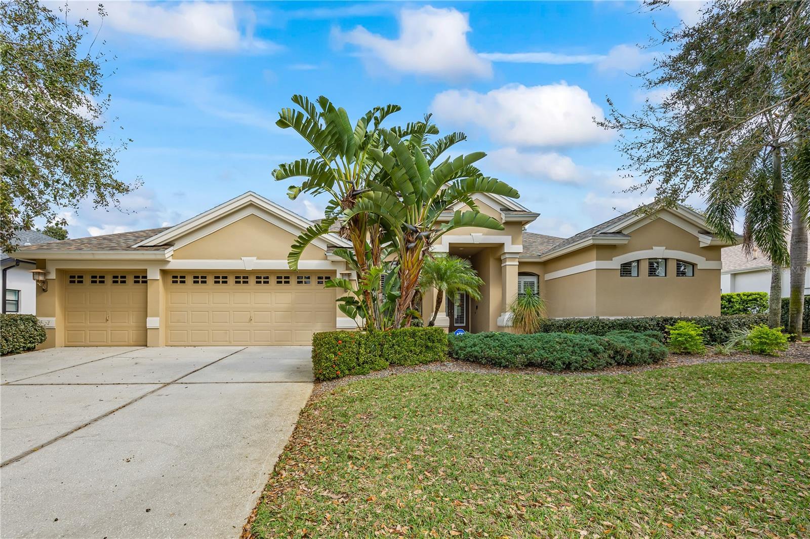 Details for 3675 Janus Way, PALM HARBOR, FL 34685