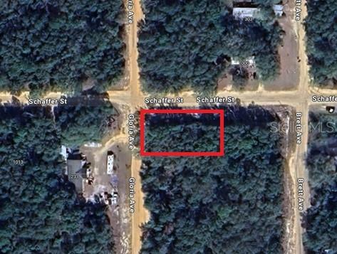 Details for Schaffer Street, INTERLACHEN, FL 32148