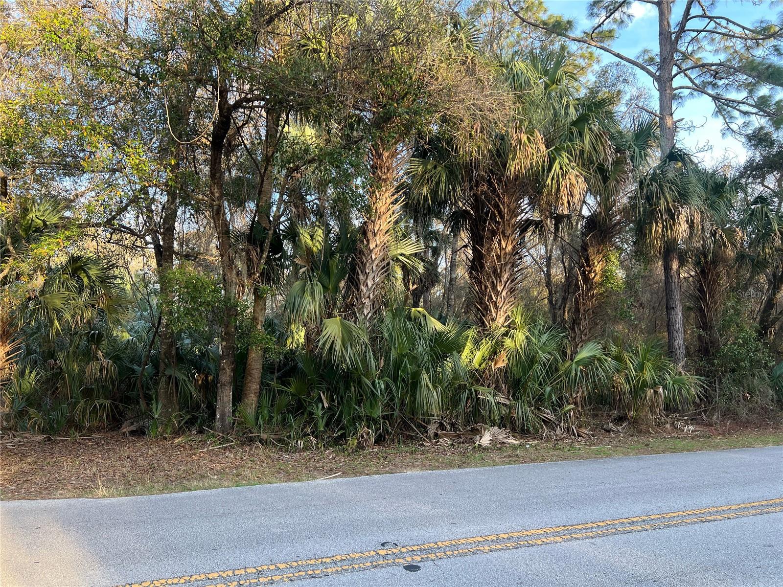 Details for 8523 Basswood Avenue, CRYSTAL RIVER, FL 34428