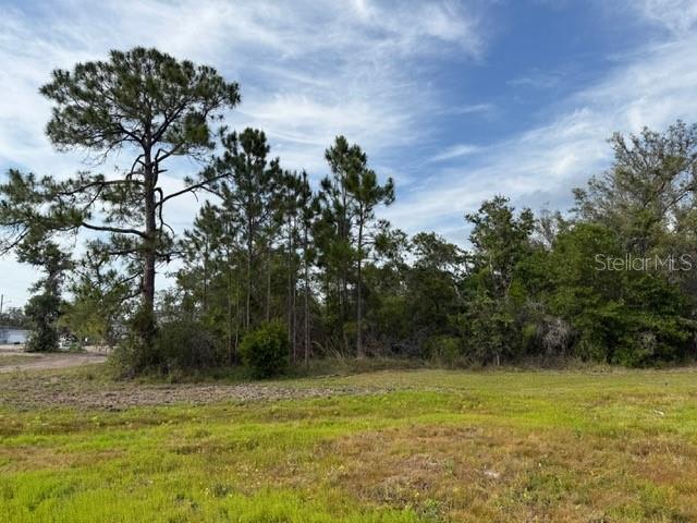 Image 5 of 8 For 1649 Redfin Drive