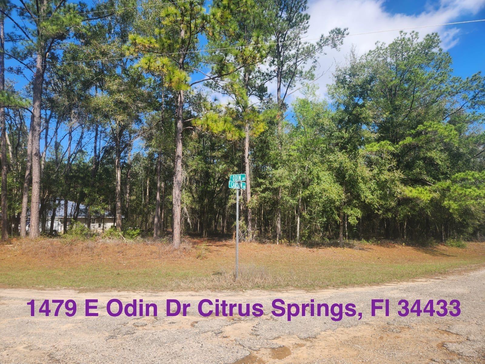 Details for 1479 Odin Drive, CITRUS SPRINGS, FL 34433