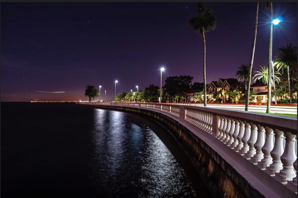 Image 33 of 42 For 5231 Bayshore Boulevard 10