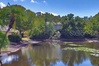 Image 34 of 42 For 5231 Bayshore Boulevard 10