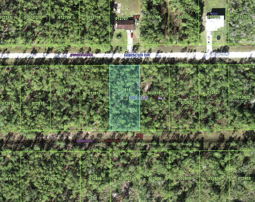 Details for 713 Hibiscus Drive, INDIAN LAKE ESTATES, FL 33855