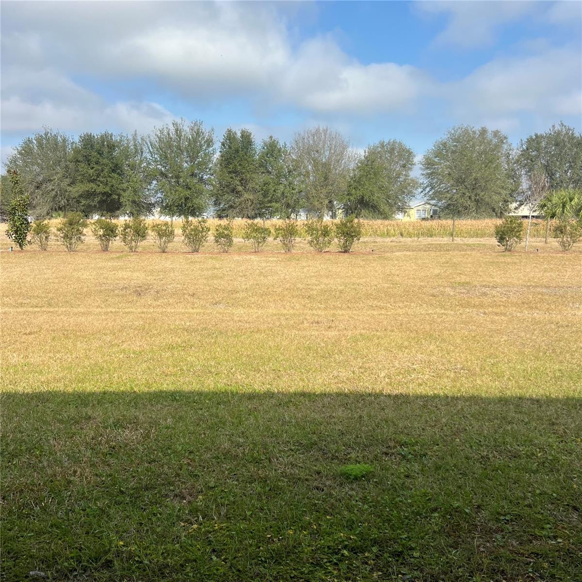 Image 14 of 21 For 3526 Marigold Patch Court