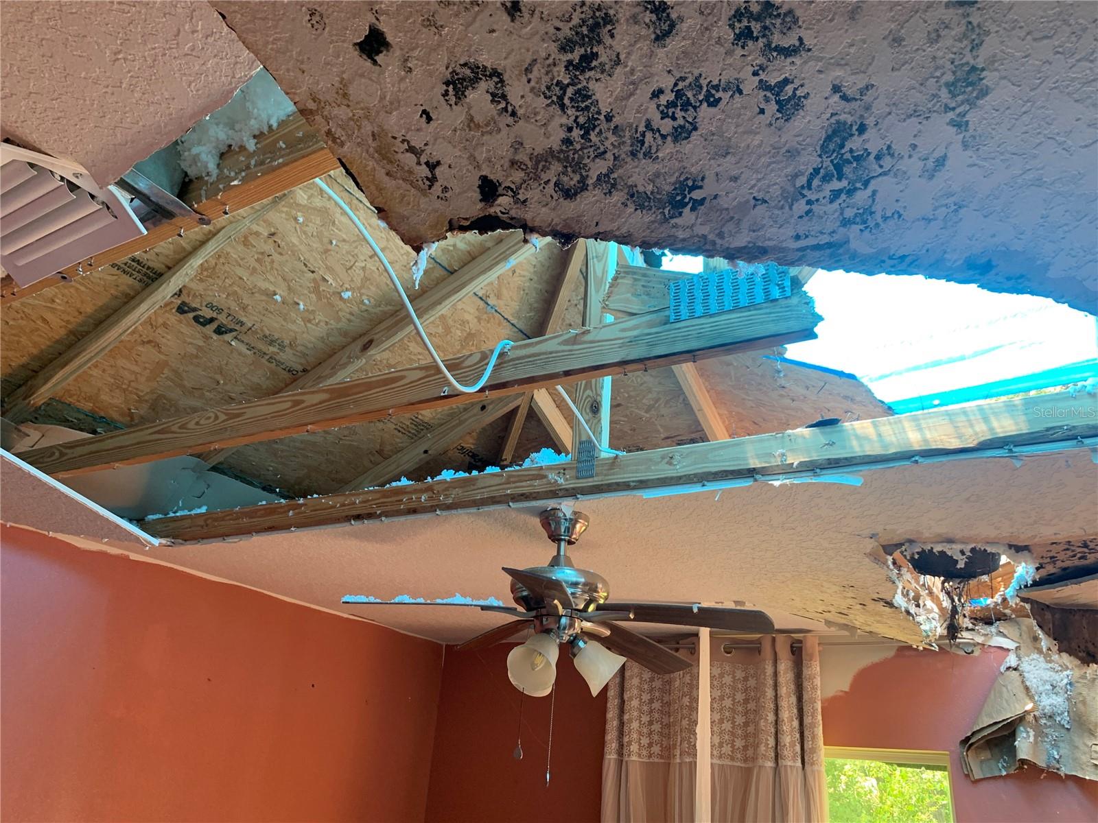 Image 10 of 13 For 6022 Tremont Street