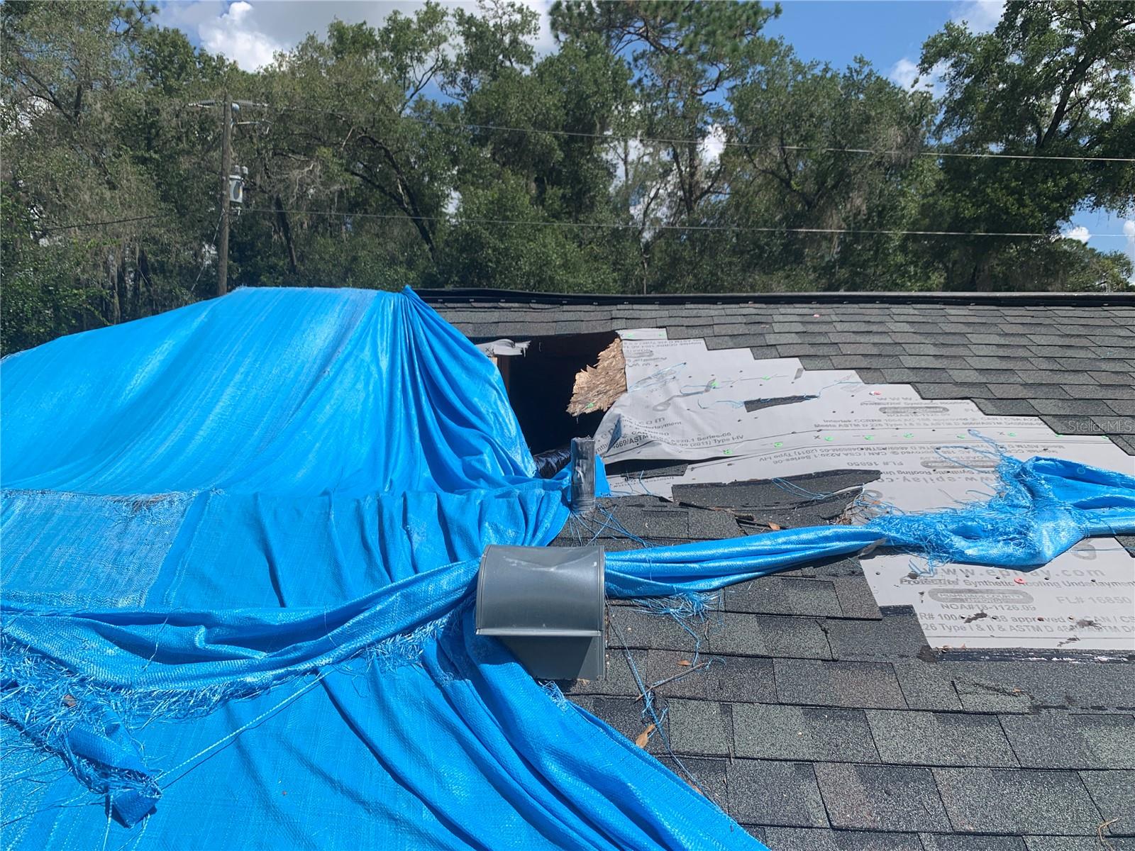 Image 12 of 13 For 6022 Tremont Street